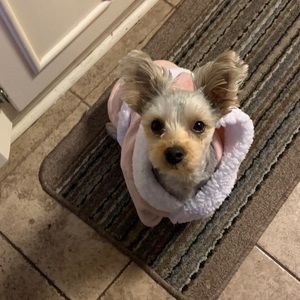 Meet your Posher, Jennie